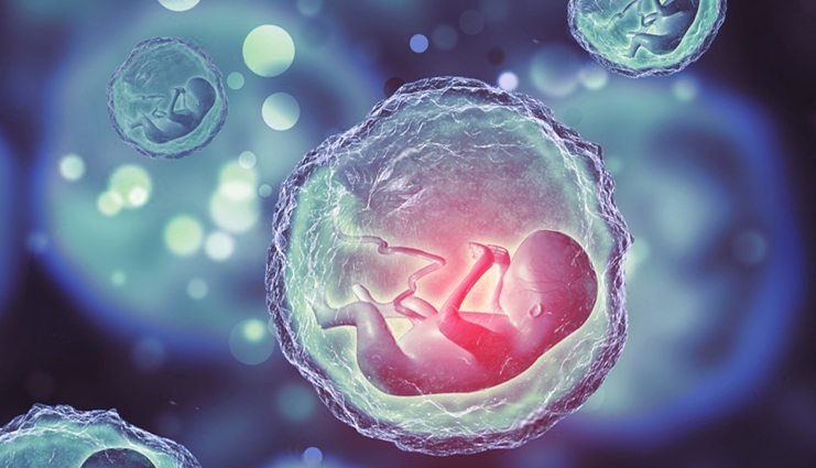 Криопрезервация спермы, эмбрионов, яйцеклеток